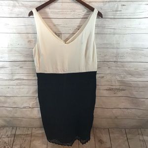 Ann Taylor Loft size 10 dress black and white